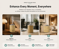 Diffuseur d'arômes électrique B2B NOUVEAU Tendance pour Hôtels et Foyers, Contrôlé par Application, Sans Eau, Écologique, Capacité 60ML, Français