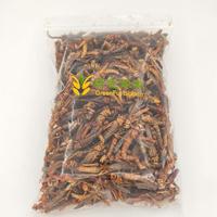 Insectes comestibles riches en protéines, sauterelles séchées, alimentation animale pour oiseaux et reptiles