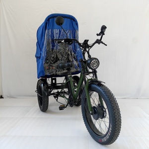 Vehículo de Transporte, Bicicleta de 3 Ruedas 2024, Triciclo con Neumáticos Anchos y Toldo - Product Image 2