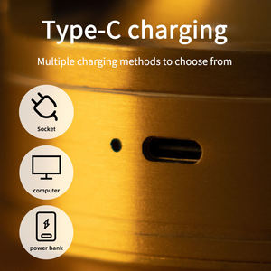 LED充電デスクランプインダストリアルスタイルタッチ調光USBポータブル充電コーヒーショップバーヴィンテージ装飾雰囲気常夜灯 - Product Image 6