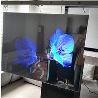 Film de projection holographique transparent à prix avantageux, écran de projecteur holographique 3D, tissu PET, 92% de transmission, angle de vision de 150°