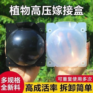 Plant Air Grafting Propagation Box Plastic Rooting Device For Home Gardening Seedling Cultivation Flower Tree Grafting Tool - Product Image 3