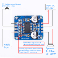 DY-AP3001 10W/20W/30W Mono Module Amplificateur De Puissance Classe D