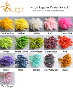 60 pièces/lot, queues de lapin <span class=keywords><strong>séchées</strong></span> colorées, Lagurus Ovatus, fournitures de décoration de mariage, <span class=keywords><strong>bouquet</strong></span> de <span class=keywords><strong>fleurs</strong></span>, <span class=keywords><strong>fleurs</strong></span> <span class=keywords><strong>séchées</strong></span> en gros - Product Image 6