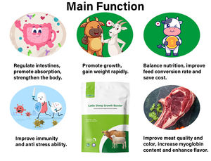Inek keçi takviyesi koyun güçlendirici tedarikçisi tam besleme süt arttırıcı karışık yem katkı tedarik vitaminleri - Product Image 5