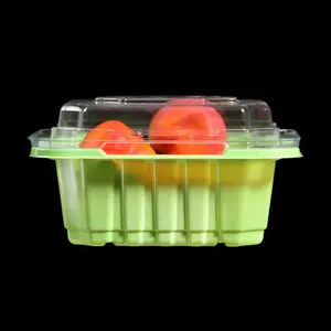 Caja de embalaje de plástico PET desechable transparente con tapa Contenedor de embalaje de setas de frutas y verduras de grado alimenticio reciclado