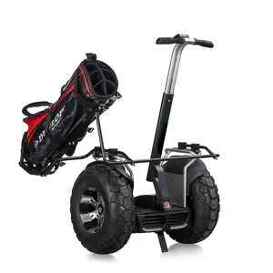19英寸2400W双轮毂沙滩高尔夫电动滑板车折叠自平衡气垫板高尔夫电动车滑板车SUV高尔夫滑板车