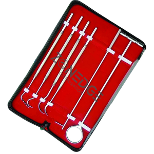 Kit de Limpieza Dental Manual, Juego de Instrumentos de Limpieza Dental Veterinaria, Escaladores de Acero Inoxidable, Espejo, Explorador, CALIDAD A+++ - Product Image 1