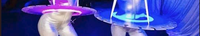 Plateau d'épaule lumineux à LED, plateau de serveur en acrylique pour champagne et cocktails