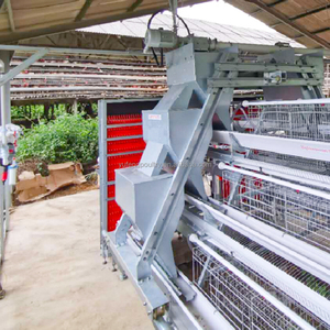 Cage à poulets de type A pour l'élevage avicole, poulailler pour poules pondeuses, avec système d'abreuvement et d'alimentation automatiques pour 10 000 oiseaux - Product Image 3
