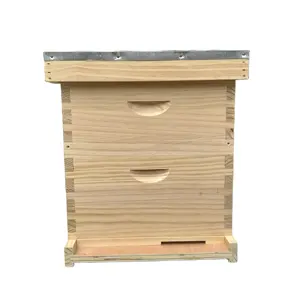 Équipement d'apiculture Ruches d'abeilles en bois de pin 10 cadres pour ruche en bois Dadant