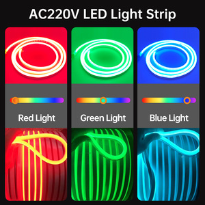 Luce al Neon LED Flessibile Impermeabile 5V 12V 24V, Taglio 2.5CM, 120 LED, SMD2835, Personalizzabile per Insegne Pubblicitarie - Product Image 1