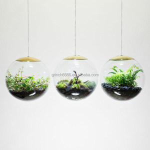 Terrario colgante de vidrio para plantas de interior, terrario led de vidrio para plantas de interior, botella de vidrio, Terrario de selva tropical - Product Image 2