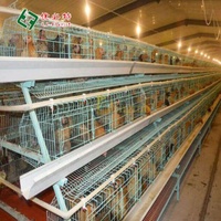 U-Best Nouvelles cages automatiques de type H pour poules pondeuses en acier galvanisé à chaud pour élevages avicoles