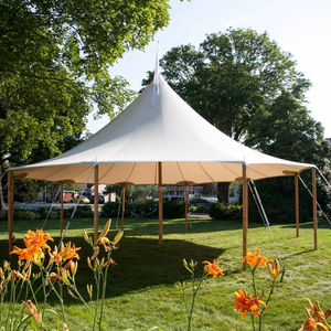 Tente <span class=keywords><strong>de</strong></span> mariage en plein air pour événement, banquet, <span class=keywords><strong>chapiteau</strong></span> <span class=keywords><strong>de</strong></span> luxe, auvent, structure en PVC, réceptions <span class=keywords><strong>de</strong></span> mariage, fêtes et événements - Product Image 4
