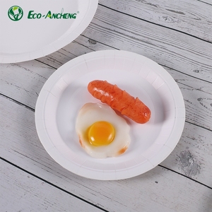 Plato de Papel Desechable para Restaurantes, Servicios de Comida para Llevar y la Industria Hotelera - Product Image 3