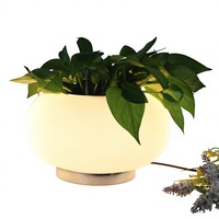 (XCT452) Lampe de table en verre soufflé Biosphère moderne - Design contemporain, lampe de bureau LED pratique pour la maison et l'hôtel