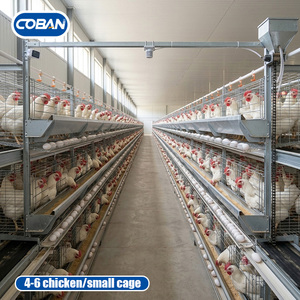 Équipement d'élevage de poules pondeuses en cages : Projet complet de cages en batterie de type H avec système d'alimentation et d'abreuvement automatiques - Product Image 1