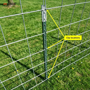 Poste de Acero Pintado de Verde de Alta Calidad con Pernos en Forma de T para Cercas Agrícolas - Product Image 6