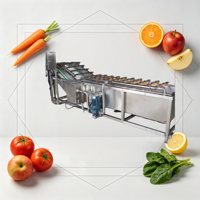 Energiebesparende multifunctionele bubbelwasmachine voor het reinigen van groenten en fruit, anti-schade zachte groenteverwerkingsinstallatie