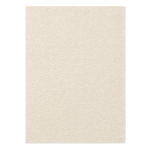 Tapis d'intérieur en polypropylène crème Petra Step 10232, lavable en machine, adapté aux animaux domestiques, découpable, pour salon, couloir, vente en gros - Product Image 2