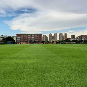 Grama artificial à prova de UV do elevado desempenho para o campo de futsal do futebol do campo de futebol