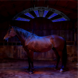 Led Suspendus Chevaux Equipement Equin 660nm 850nm Led Lumière Rouge Proche Infrarouge Pet Therapy pour Cheval Panneau - Product Image 2