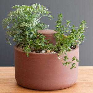 Pots de plantes en terre cuite rustiques faits à la main, vintage, sculptés à la main, durables, en matériau naturel pour les fleurs et les herbes de jardin intérieures et extérieures - Product Image 1