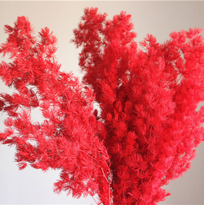 Mazzo di Fiori di Felce Ming Conservata da 80 Grammi per Decorazioni di Matrimoni, Casa e Feste in Ufficio - Product Image 3