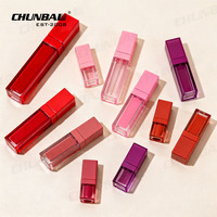 Tubes de brillant à lèvres carrés de 4ml vides personnalisés de luxe personnalisé emballage de grande baguette contenant de rouge à lèvres en argent