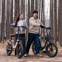 KOOLUX Vélo Électrique Urbain Pliant Nouveau Design avec Moteur Arrière Brushless 48V 250W, Batterie 15.6AH, Vitesse 25km/h - Stock UE/AU