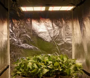 Lm301B Electronic Board LED wachsen Licht Hydro ponic Pcba Garten Gewächs häuser Beleuchtung