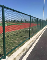 Tennisbaanbeveiligingshekwerk van kettingmat met gegalvaniseerde/PVC-coating, afmetingen aanpasbaar
