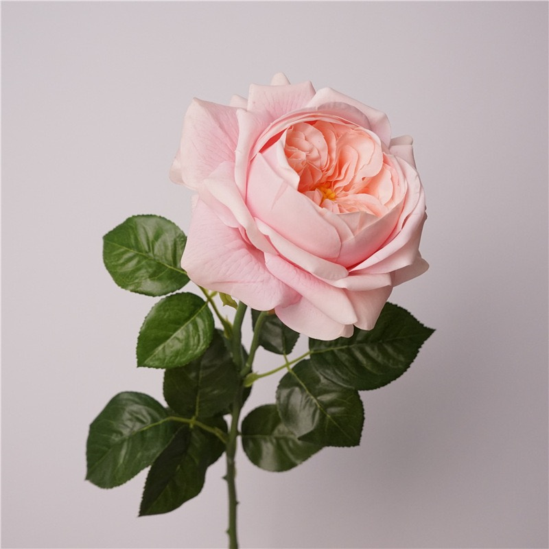 Peach pink