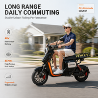Vélo Électrique Personnalisé U2 avec Moteur Arrière 48V pour Adultes, Vélo de Banlieue, Vente en Gros Transfrontalière, Exportation d'Usine, E-bike Longue Portée