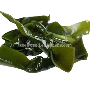 Algas marinas secas al por mayor <span class=keywords><strong>Gelidium</strong></span> algas secas kelp kont - Product Image 3