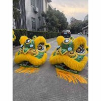 Costume de danse du lion chinois LED, danse du lion folklorique, danse du lion traditionnelle chinoise