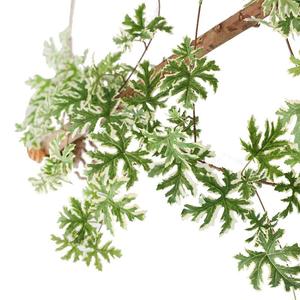 Pianta Artificiale Elegante Succulenta con Etichetta Personalizzata Fiori Artificiali Resistenti ai Raggi UV Realistici per Fotografia Scaffale a Muro in Rattan - Product Image 1