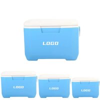 Glacière isotherme portable vintage en plastique rigide pour pique-nique, poisson et glace, 5L, accessoires de camping