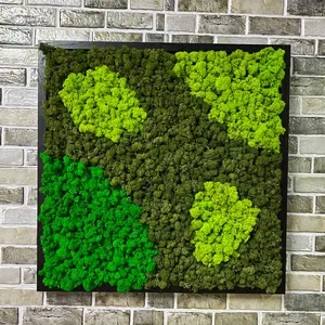 Stabilized Moss Ready Made Customized Office Decoration 3D Real Natural Moss Wall Art Frame Wholesale Reindeer Moss Stabilized