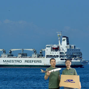 Transporteur de fret maritime Ddp le moins cher Transport Lcl Fcl Fret Qingdao Forwoder Chine vers Japon Fba Container Yémen - Product Image 2