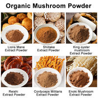 Extracto de hongo Shitake orgánico de alta calidad 30% Polisacáridos Polvo de hongo Shiitake