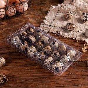 Bandeja de Plástico para 6, 12, 15, 18, 20, 24, 30 Huevos, Cartón para Huevos de Codorniz y Paloma Jumbo, Venta al por Mayor Directa de Fábrica - Product Image 3