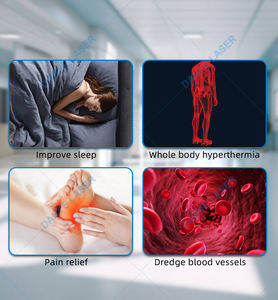 Alat Pijat Bioenergi Kaki P90 Olylife Tera Itera Bio Lite untuk Terapi Fisik dan Peningkatan Kesehatan Seluruh Tubuh - Product Image 2
