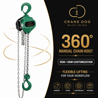 Palans à chaîne manuels en alliage 40Cr sur mesure pour équipements lourds, outils de déplacement, pour usage industriel