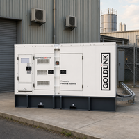 Groupe électrogène diesel Perkins 250 kVA, 200 kW, insonorisé, refroidi par eau, sans balais, certifié CE, station d'alimentation