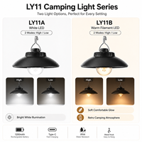 Lanterne de camping LED rechargeable Type-C 5W 200LM IP44, lampe de tente suspendue 1200mAh 2 modes, rétro, extérieur, urgence, blanc, plastique