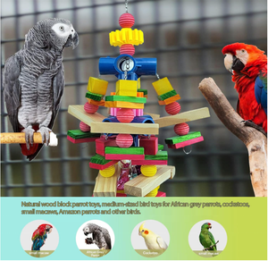 Juguetes para loros adecuados para loros grises africanos cacatúas guacamayos loros juguetes para pájaros pequeños y medianos - Product Image 5