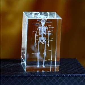 Figura de esqueleto humano 3D, modelo de anatomía, pisapapeles, esqueleto, médico, psicología, regalos de graduación, esqueleto de cristal - Product Image 1