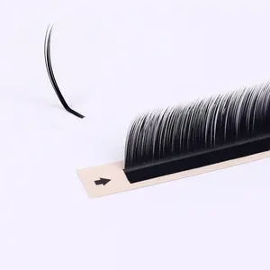 High Quality Individual Volume Lashes Private Label Korean PBT 0.05 Soft Mink Eyelash Extensions Fox Eyelashes Camellia Lashes